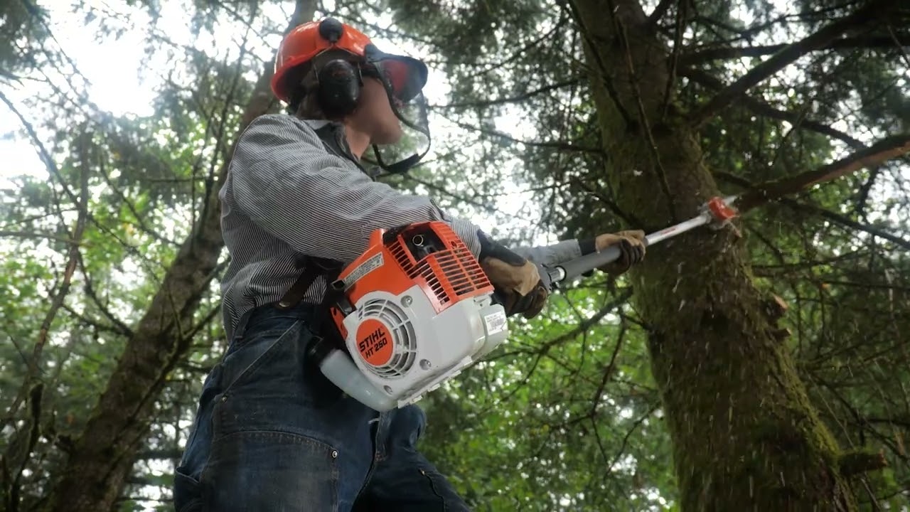 STIHL HT 250